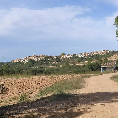 Ca Toni 3* Darmos