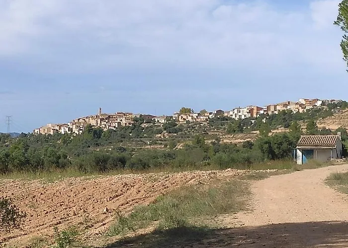 Ca Toni 3* Darmos